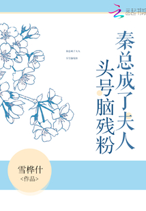 秦总成了夫人头号脑残粉