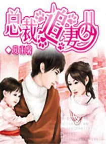 总裁追妻儿