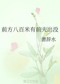 前方八百米有前夫出没