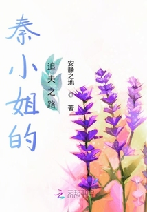 秦小姐的追夫之路