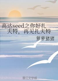 高达seed之你好扎夫特，再见扎夫特