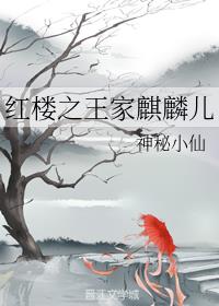 红楼之王家麒麟儿