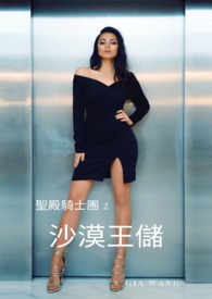 沙漠王储～圣殿骑士团2