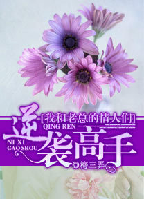 我和老总的情人们：逆袭高手